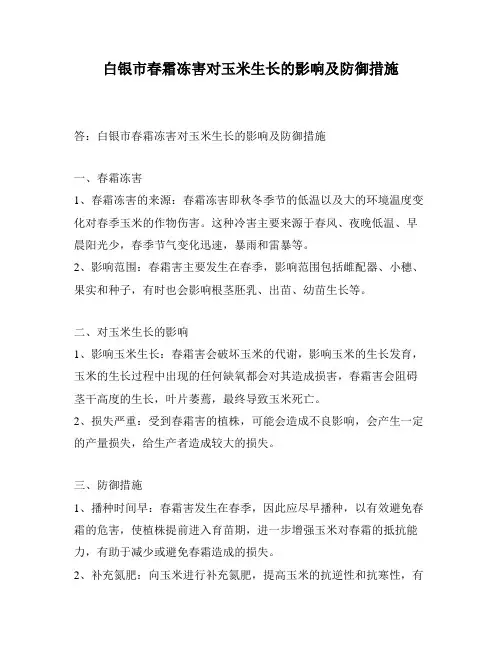 白银市春霜冻害对玉米生长的影响及防御措施
