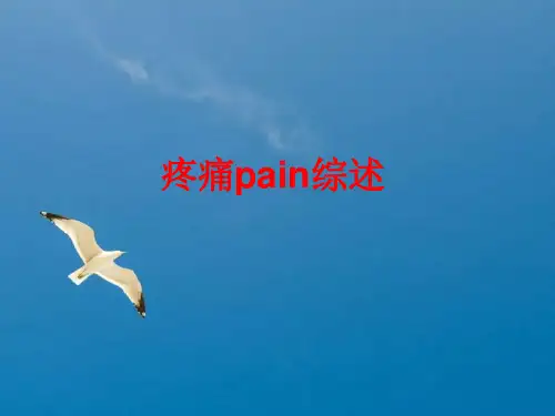 《疼痛pain综述》PPT课件