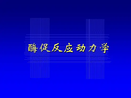 酶Km测定