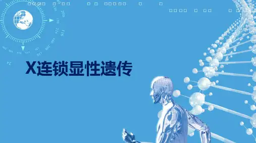 XD-X连锁显性遗传