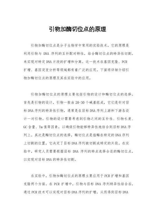 引物加酶切位点的原理