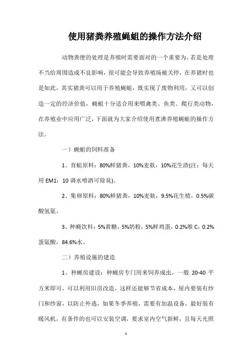 使用猪粪养殖蝇蛆的操作方法介绍