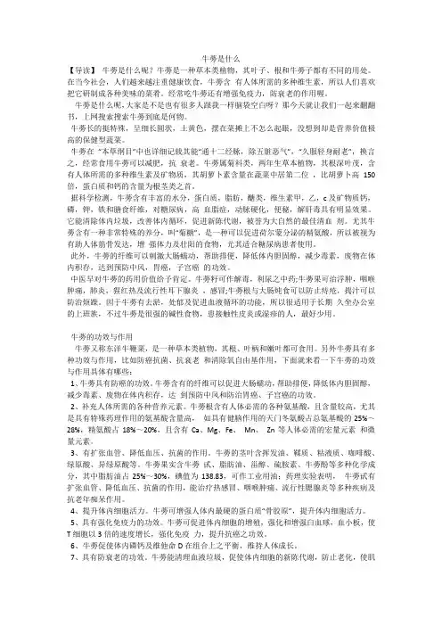 牛蒡是什么
