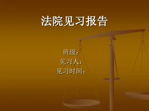 法院见习PPT