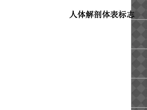 人体解剖体表标志