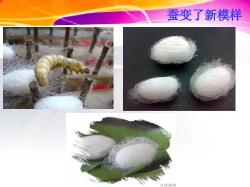 2.3蚕变了新模样PPT课件