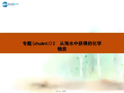 高中化学 专题二 第一单元 第一课时 氯气的生产原理课件 苏教版必修1