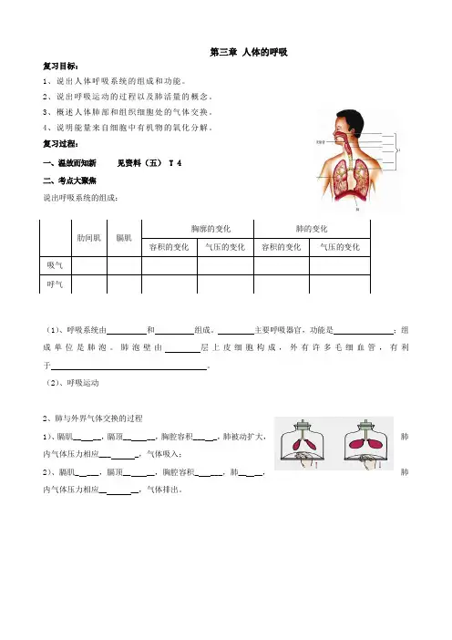 生物：4.3《人体的呼吸》复习学案1(人教版七年级下)