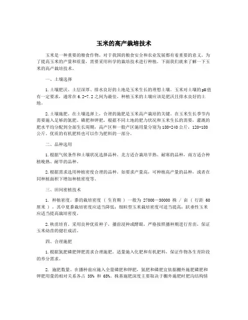 玉米的高产栽培技术
