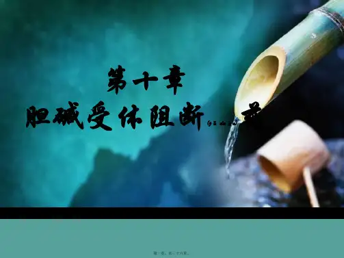 M受体阻断药(PPT)