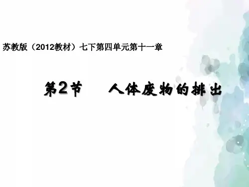 苏教版-生物-七年级下册- 4.11.2人体废物的排出课件