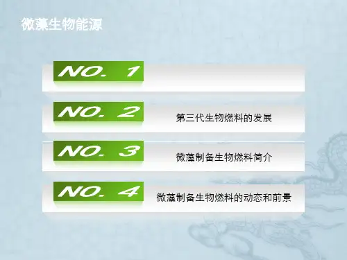 微藻生物能源