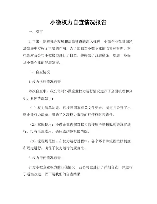 小微权力自查情况报告