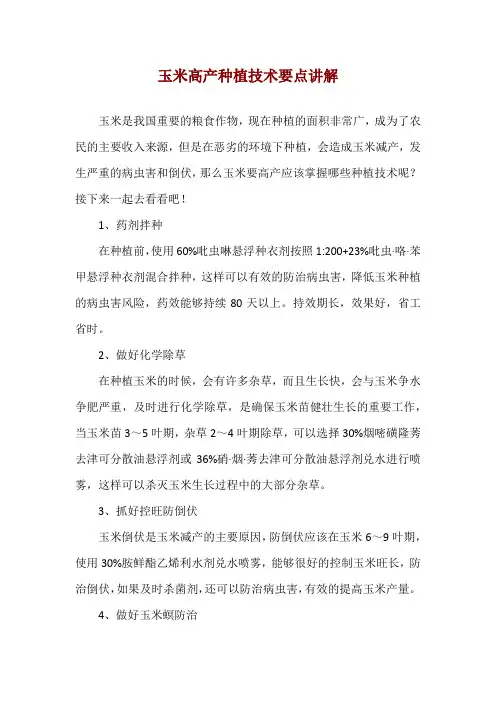 玉米高产种植技术要点讲解