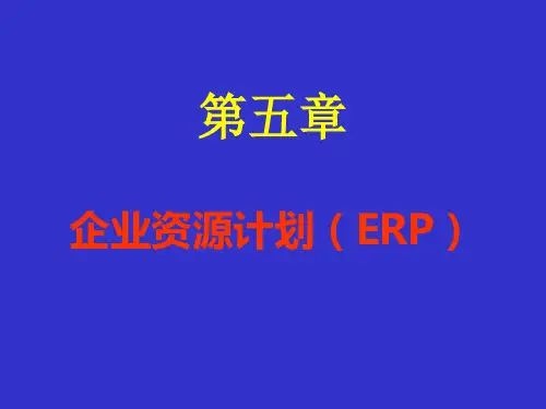 企业资源计划(ERP)PPT