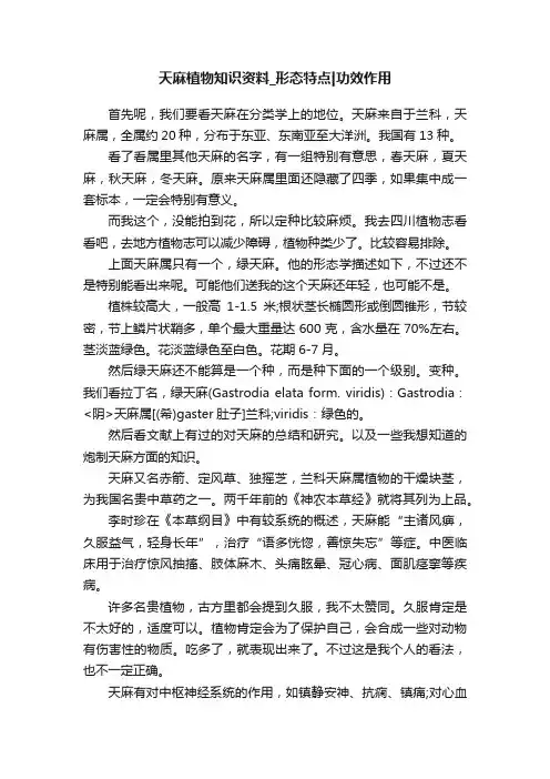 天麻植物知识资料_形态特点功效作用