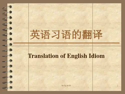 《英语习语的翻译》PPT课件