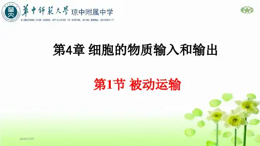 被动运输【新教材】人教版(2019)高中生物必修一课件