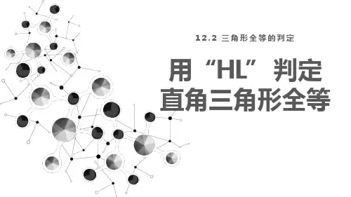 八年级数学上册教学课件《用“HL”判定直角三角形全等》