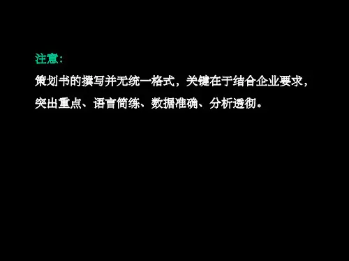 《广告策划书》PPT课件