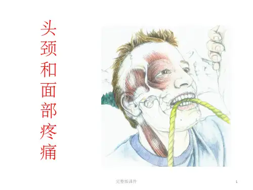 头颈和面部部疼痛触发点ppt课件