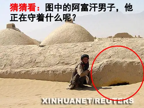 荒漠化的成因与防治模板