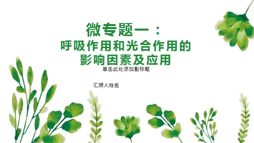 2023届高三生物二轮复习课件微专题一：呼吸作用和光合作用的影响因素及应用