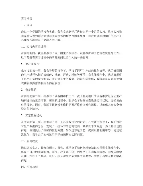 铜厂实习报告