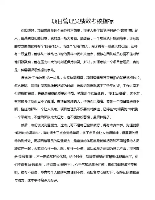 项目管理员绩效考核指标