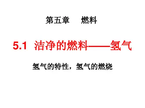 科粤版九年级化学5.1洁净的燃料——氢气(共14张PPT)