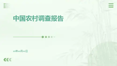 中国农村调查报告