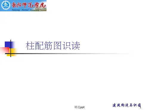 柱配筋图ppt课件