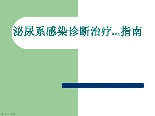泌尿系感染诊断及治疗完整版ppt