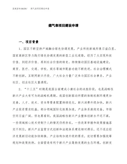燃气表项目建设申请