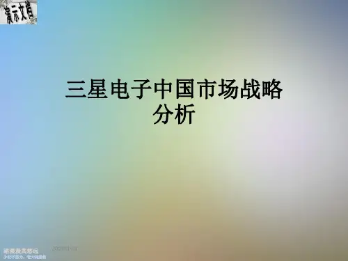 三星电子中国市场战略分析