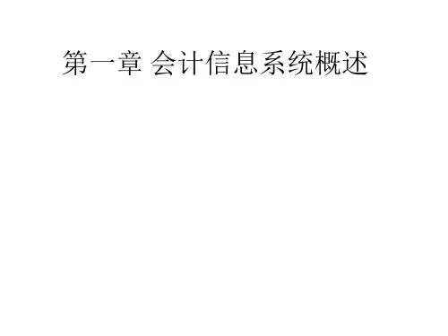 第01章 会计信息系统概述  会计信息系统课件
