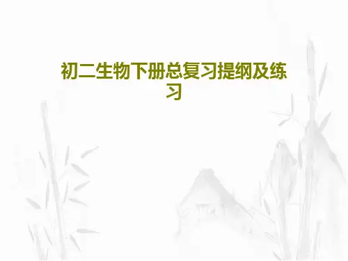 初二生物下册总复习提纲及练习PPT33页