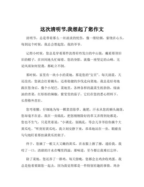 这次清明节,我想起了您作文
