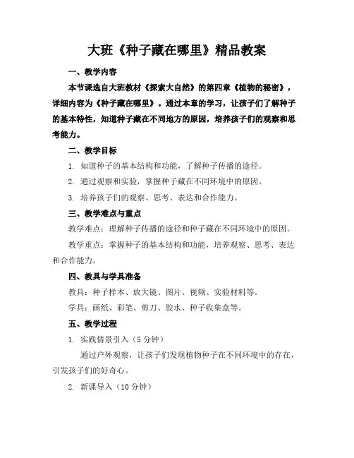 大班《种子藏在哪里》精品教案 
