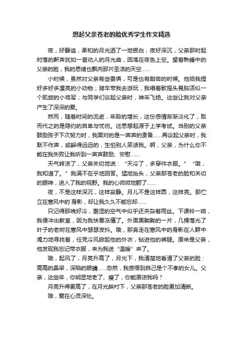 想起父亲苍老的脸优秀学生作文精选