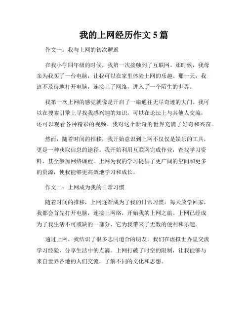 我的上网经历作文5篇
