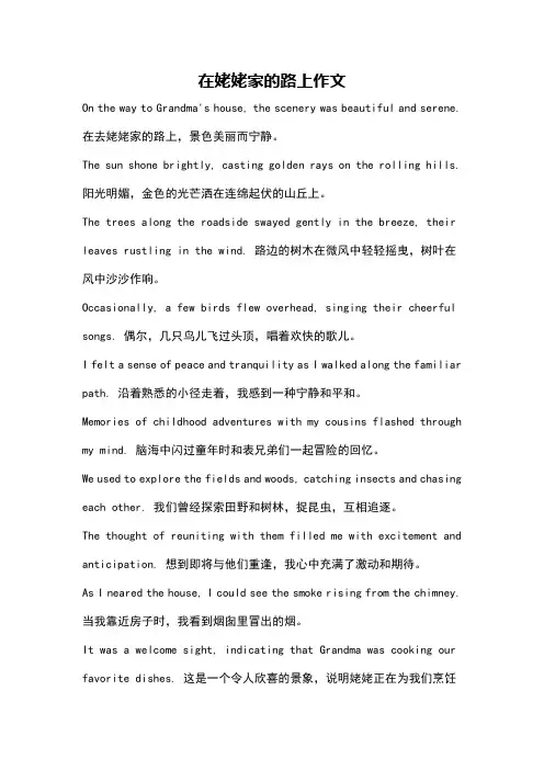 在姥姥家的路上作文