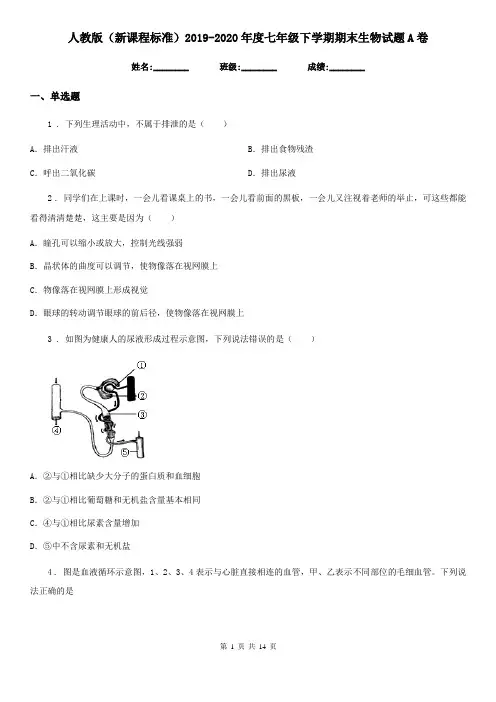 人教版(新课程标准)2019-2020年度七年级下学期期末生物试题A卷