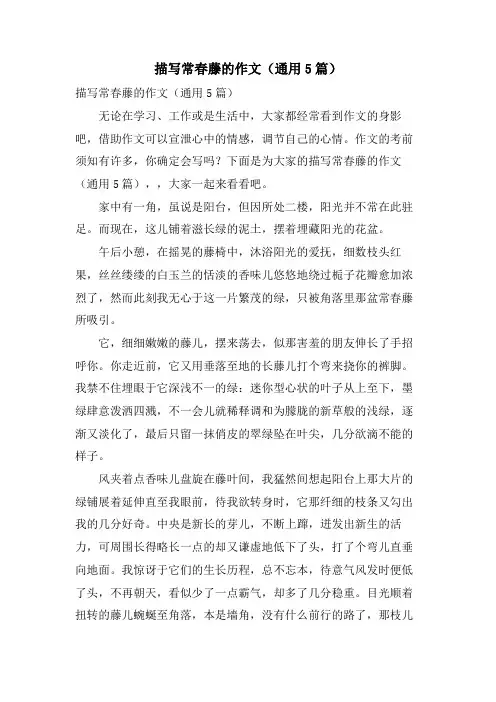 描写常春藤的作文(通用5篇)