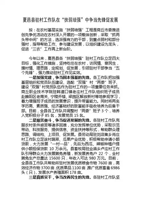 夏邑县驻村工作队在“扶弱培强”中争当先锋促发展