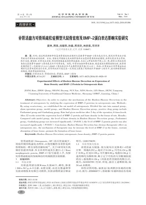 补肾活血方对骨质疏松症模型大鼠骨密度及BMP-2蛋白表达影响实验研究-姜坤