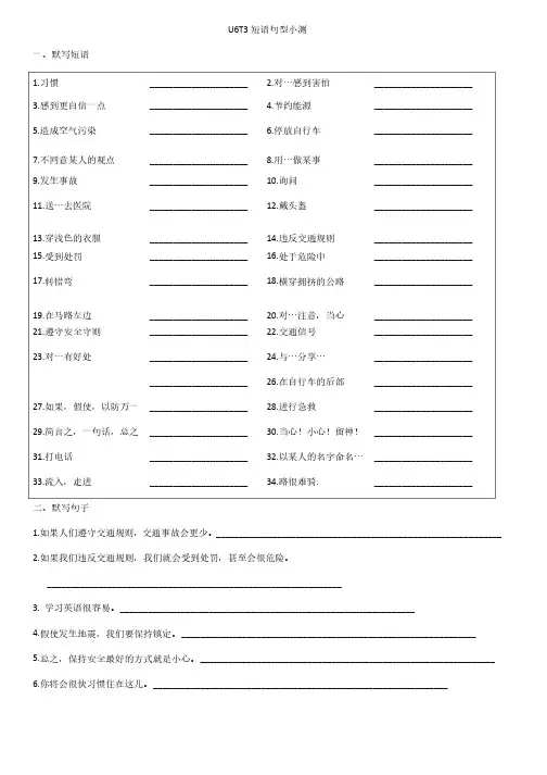 仁爱英语八年级下册Unit6Topic3重点短语句型小测（包含答案）