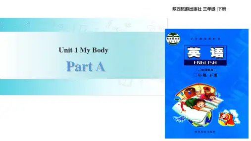 陕旅版三年级下册英语Unit 1 My Body Part A (共19张PPT)