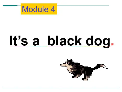 2024年外研三年级起点三年级上册《Module 4Unit 2 It's a black dog.