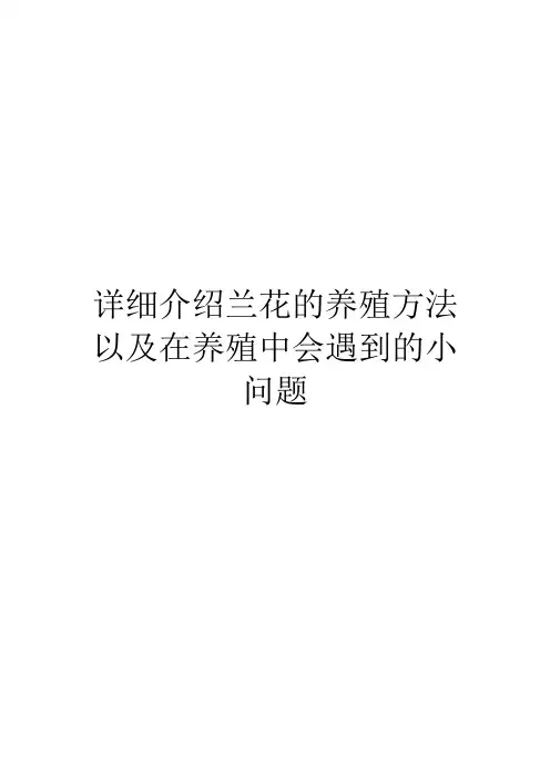 详细介绍兰花的养殖方法以及在养殖中会遇到的小问题